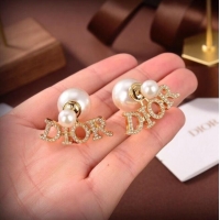 Good Product Dior Earrings CE6486