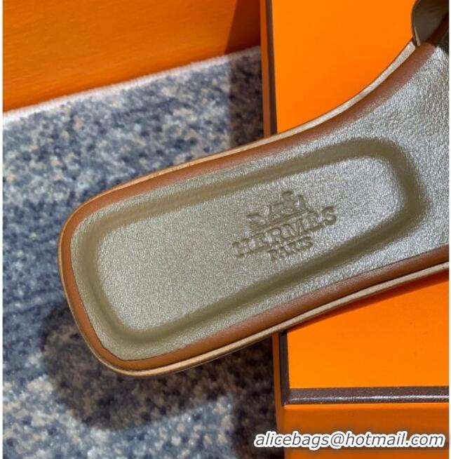 Top Quality Hermes Aloha Calfskin Flat Slide Sandal 042918 Brown 2021