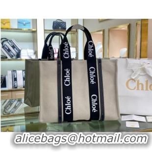 Super Quality Chloe Cloth & leather 6C026 Black