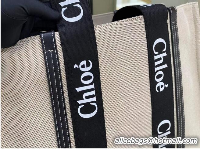 Super Quality Chloe Cloth & leather 6C026 Black