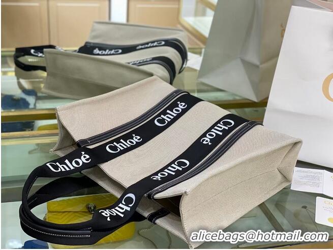 Super Quality Chloe Cloth & leather 6C026 Black