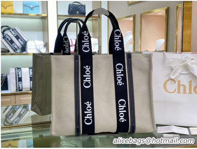 Super Quality Chloe Cloth & leather 6C026 Black