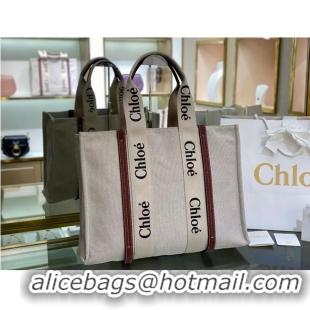 Good Product Chloe Cloth & leather 6C026 Brown