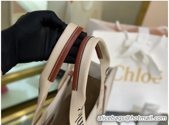 Good Product Chloe Cloth & leather 6C026 Brown