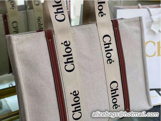 Good Product Chloe Cloth & leather 6C026 Brown