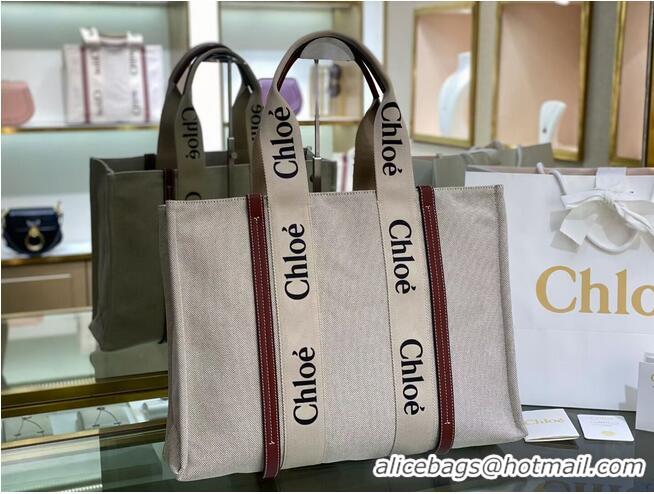 Good Product Chloe Cloth & leather 6C026 Brown