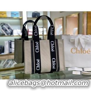 New Release Creation Chloe Cloth & leather 6C027 Black