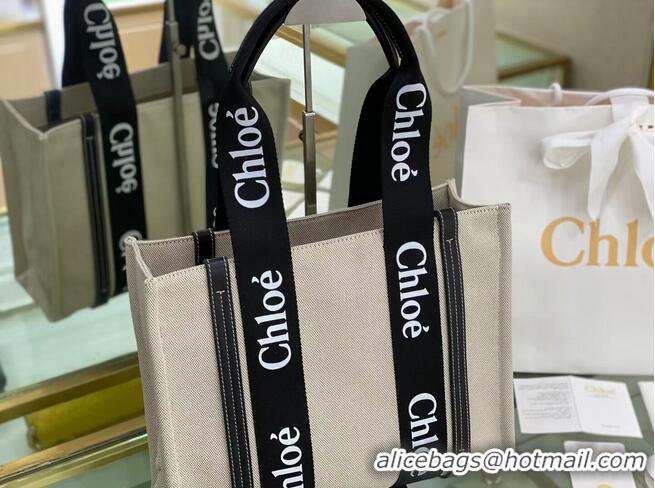 New Release Creation Chloe Cloth & leather 6C027 Black