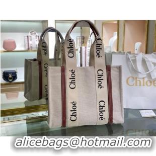 Top Quality Chloe Cloth & leather 6C027 Brown