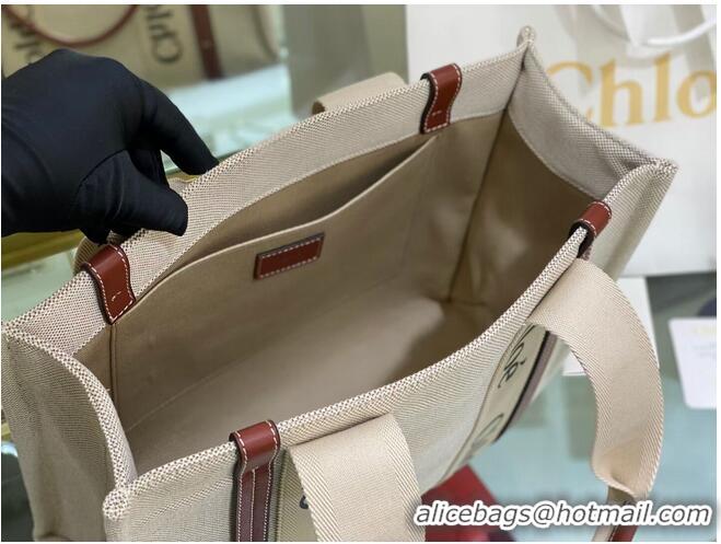 Top Quality Chloe Cloth & leather 6C027 Brown