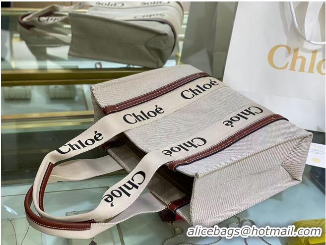 Top Quality Chloe Cloth & leather 6C027 Brown