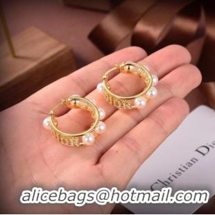 Reasonable Price Dior Earrings CE6503