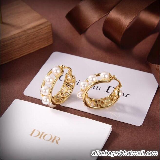 Reasonable Price Dior Earrings CE6503