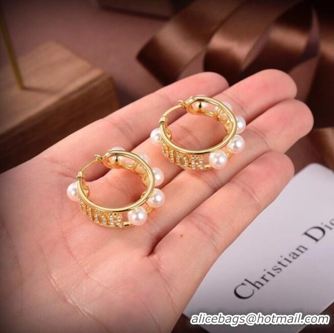 Reasonable Price Dior Earrings CE6503