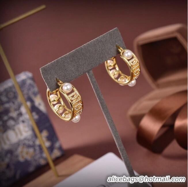 Reasonable Price Dior Earrings CE6503