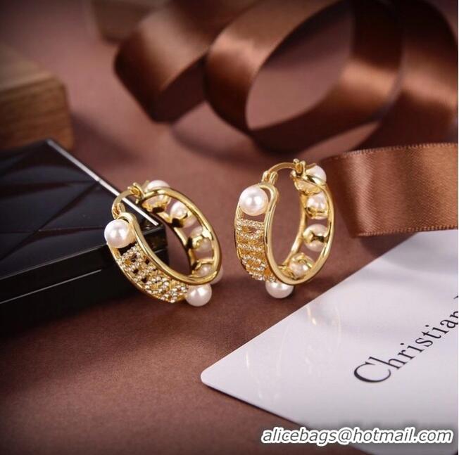 Reasonable Price Dior Earrings CE6503