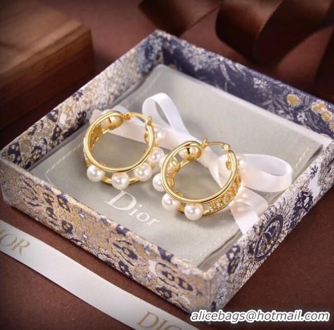 Reasonable Price Dior Earrings CE6503