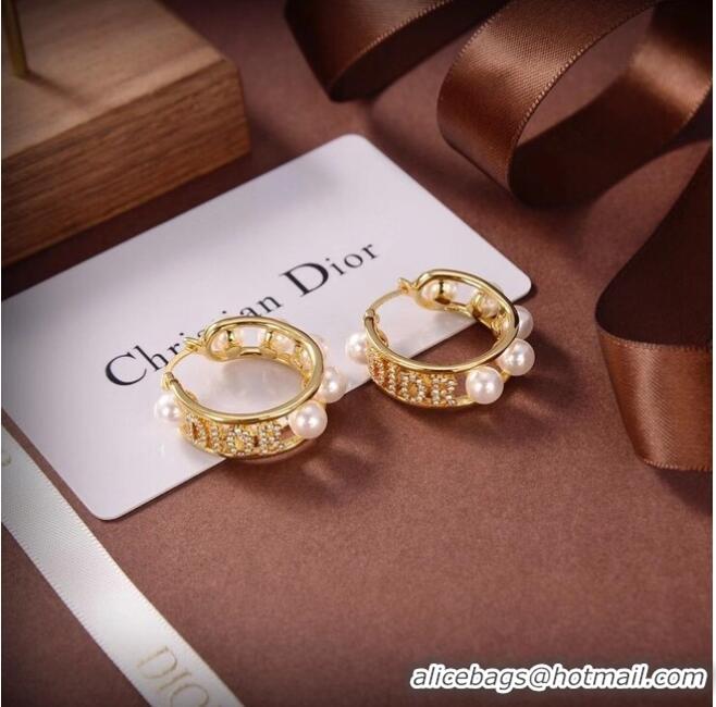 Reasonable Price Dior Earrings CE6503