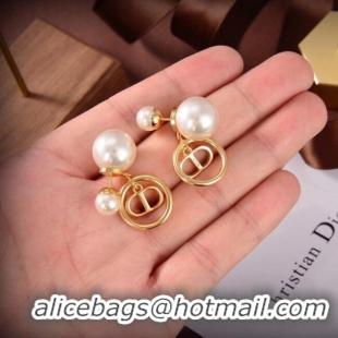 Best Product Dior Earrings CE6504