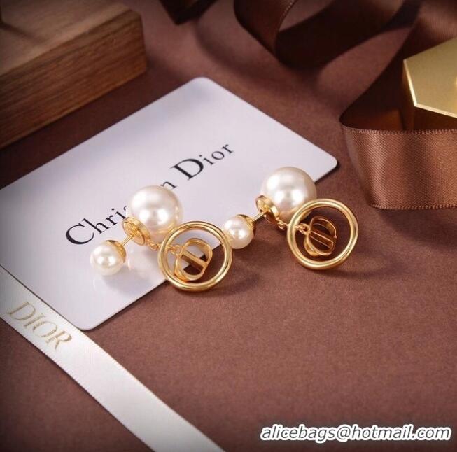 Best Product Dior Earrings CE6504