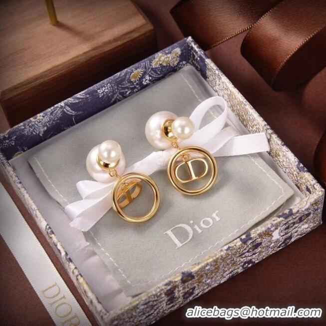 Best Product Dior Earrings CE6504