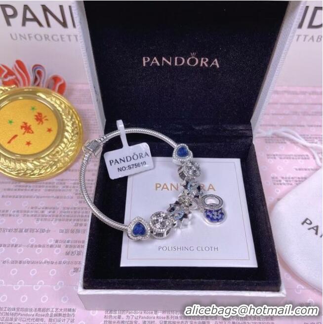 Top Grade Promotional Pandora Bracelet CE6532