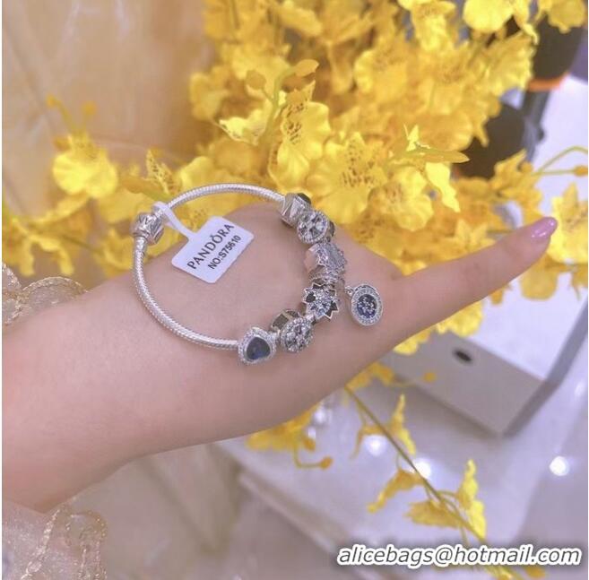 Top Grade Promotional Pandora Bracelet CE6532