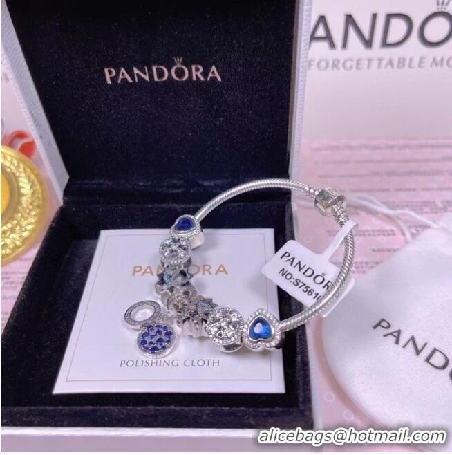 Top Grade Promotional Pandora Bracelet CE6532