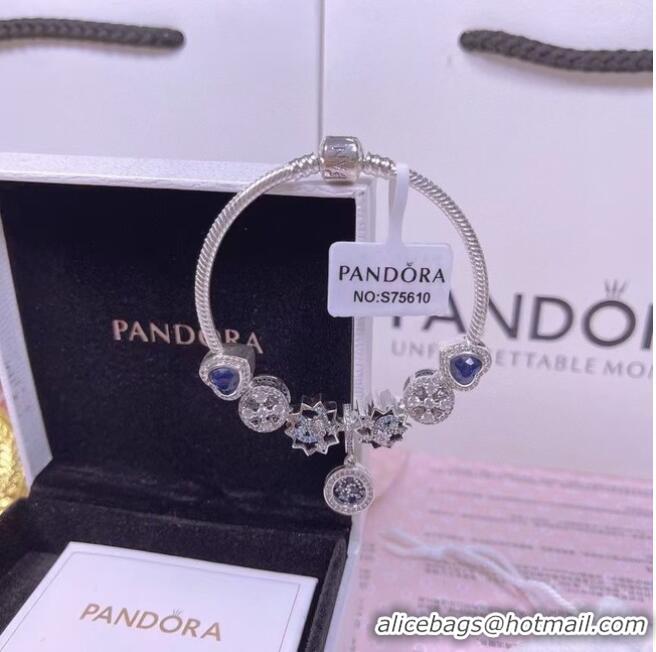 Top Grade Promotional Pandora Bracelet CE6532