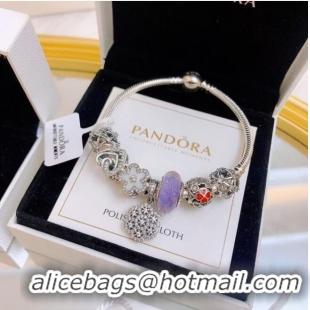 Affordable Price Pandora Bracelet CE6538