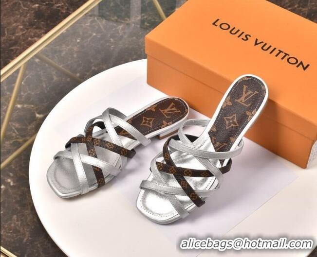 Affordable Price Louis Vuitton Revival Strap Flat Slide Sandals 330104 Silver 2021