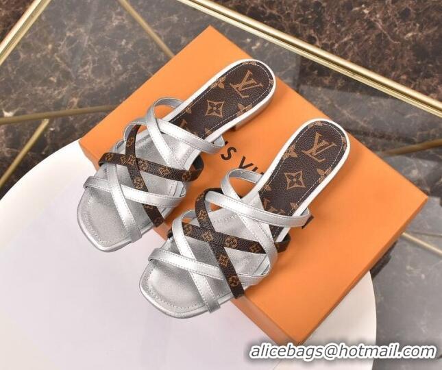 Affordable Price Louis Vuitton Revival Strap Flat Slide Sandals 330104 Silver 2021