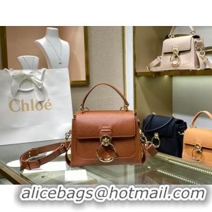 Hot Style Chloe Original Calfskin Leather Bag C1143S Brown