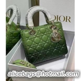 Well Crafted LADY DIOR MY ABCDIOR BAG green Gradient Cannage Lambskin M0538OS