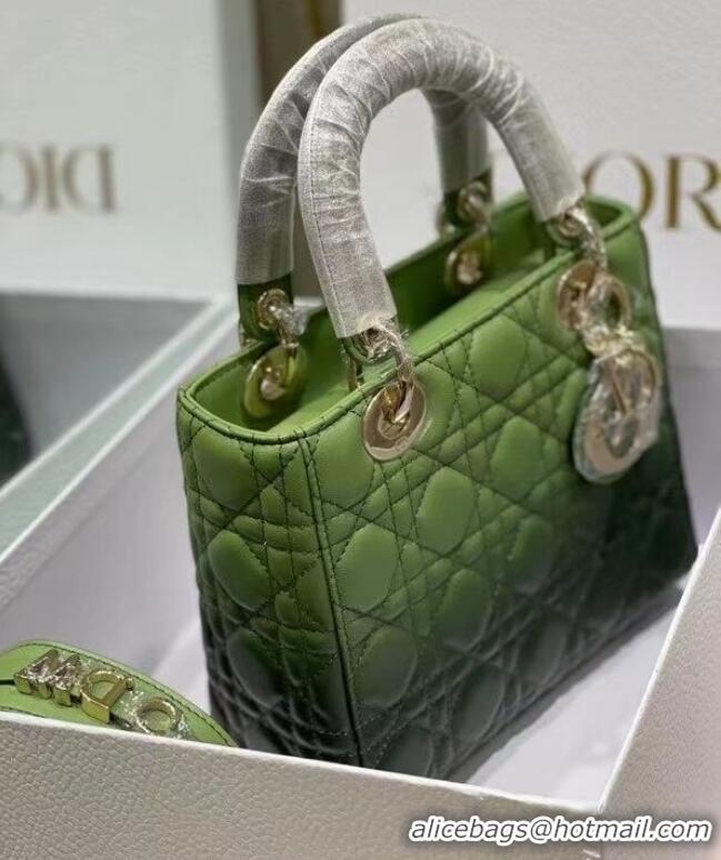 Well Crafted LADY DIOR MY ABCDIOR BAG green Gradient Cannage Lambskin M0538OS