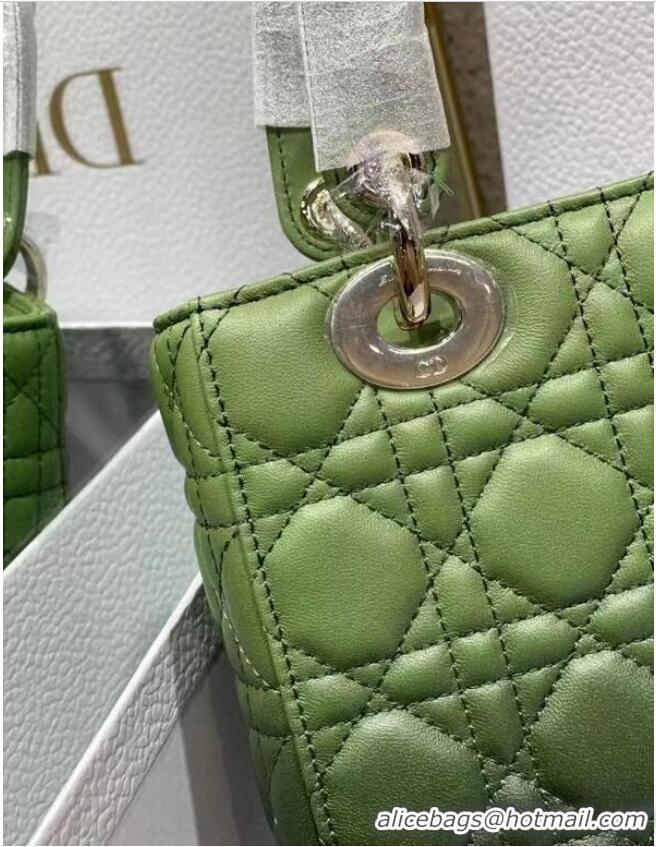 Well Crafted LADY DIOR MY ABCDIOR BAG green Gradient Cannage Lambskin M0538OS