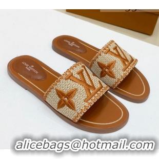 Pretty Style Louis Vuitton Lock It Raffia Flat Slide Sandals 042801 Brown 2021