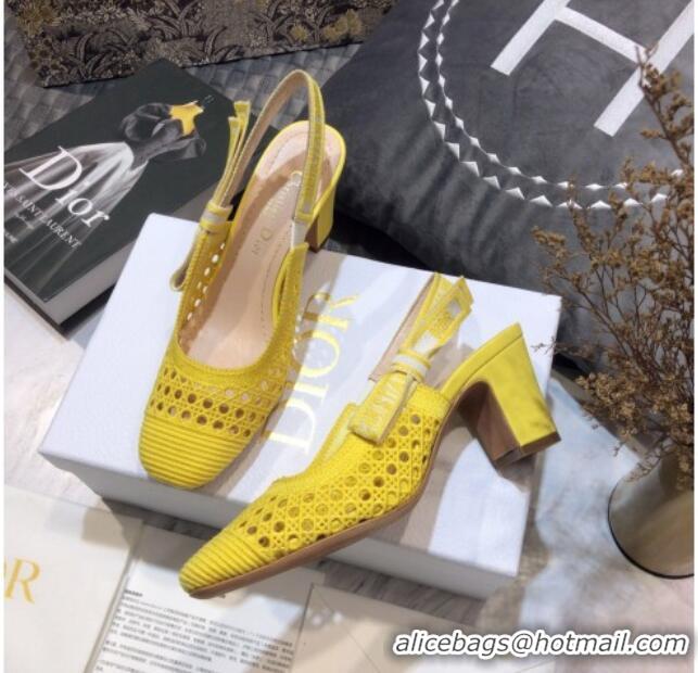 Feminine Dior x Moi Slingback Pumps 6.5cm in Yellow Cannage Embroidered Mesh 042713