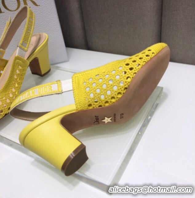 Feminine Dior x Moi Slingback Pumps 6.5cm in Yellow Cannage Embroidered Mesh 042713