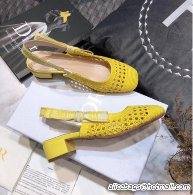 Most Popular Dior x Moi Slingback Pumps 3cm in Yellow Cannage Embroidered Mesh 042713