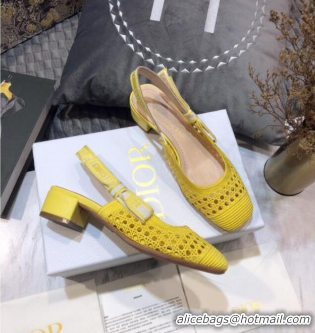 Most Popular Dior x Moi Slingback Pumps 3cm in Yellow Cannage Embroidered Mesh 042713