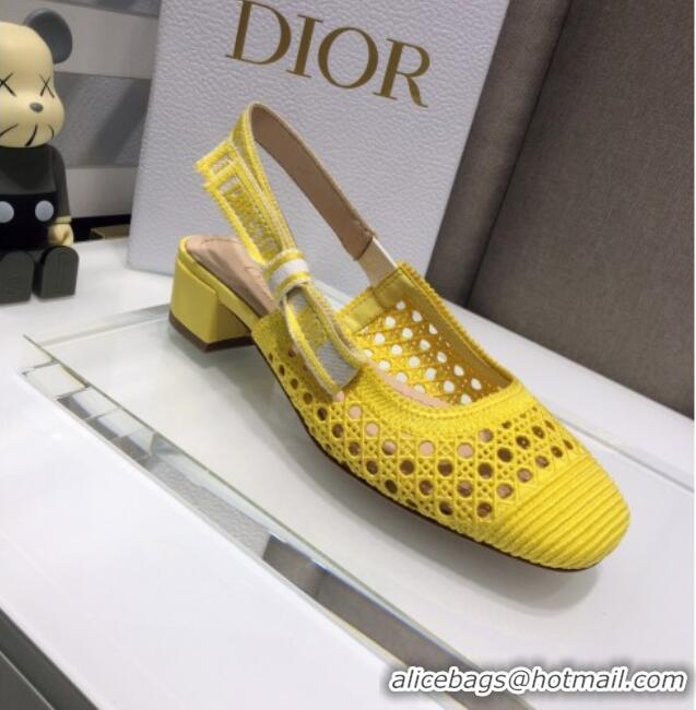 Most Popular Dior x Moi Slingback Pumps 3cm in Yellow Cannage Embroidered Mesh 042713