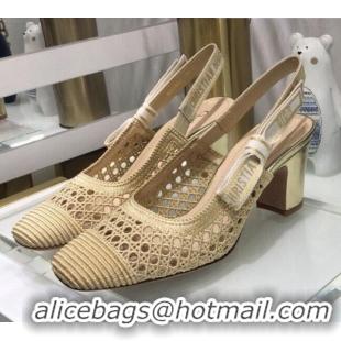 Low Cost Dior x Moi Slingback Pumps 6.5cm in Gold Cannage Embroidered Mesh 042721