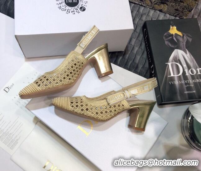 Low Cost Dior x Moi Slingback Pumps 6.5cm in Gold Cannage Embroidered Mesh 042721