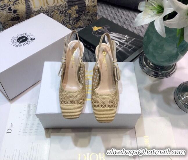 Low Cost Dior x Moi Slingback Pumps 6.5cm in Gold Cannage Embroidered Mesh 042721