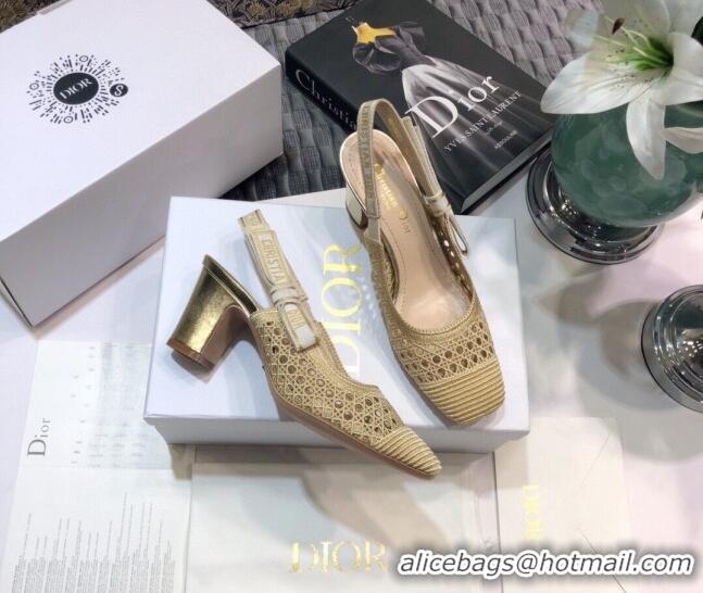 Low Cost Dior x Moi Slingback Pumps 6.5cm in Gold Cannage Embroidered Mesh 042721