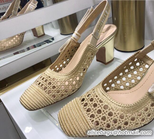 Low Cost Dior x Moi Slingback Pumps 6.5cm in Gold Cannage Embroidered Mesh 042721