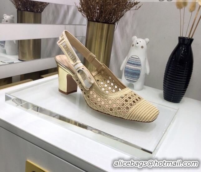 Low Cost Dior x Moi Slingback Pumps 6.5cm in Gold Cannage Embroidered Mesh 042721