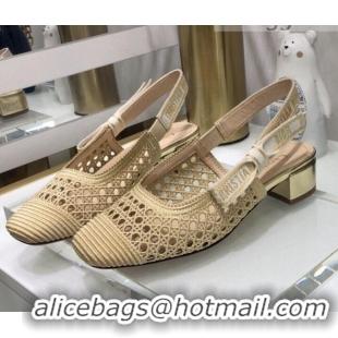 Charming Dior x Moi Slingback Pumps 3.5cm in Gold Cannage Embroidered Mesh 042721