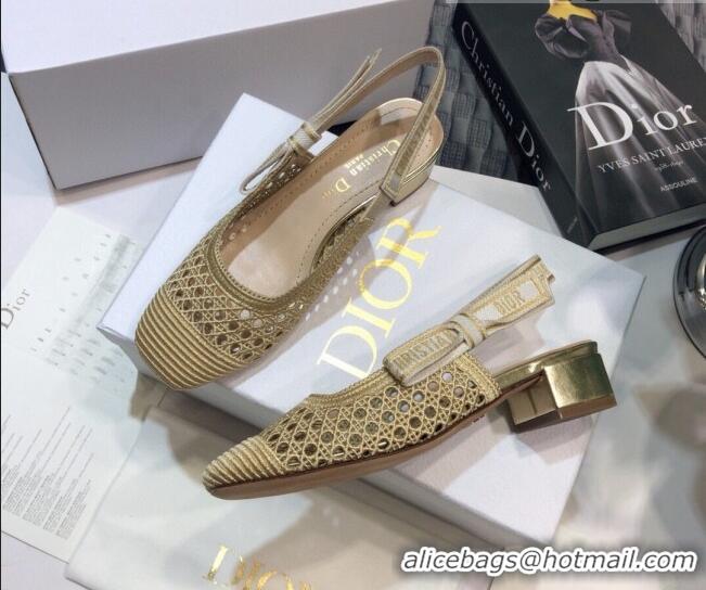 Charming Dior x Moi Slingback Pumps 3.5cm in Gold Cannage Embroidered Mesh 042721